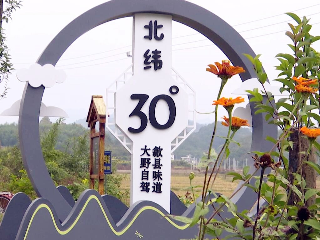 大野风景道鲜花装点的致富路