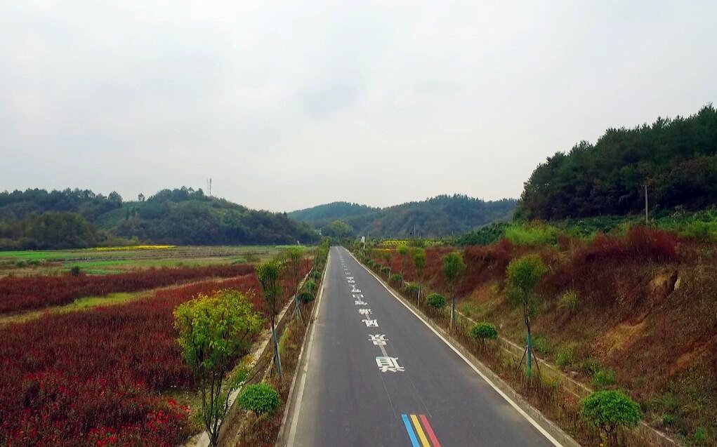 大野风景道自国道g233与县道竦溪公路的交叉口竦口大桥起始,终于歙东