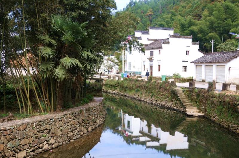 溪口镇行美丽乡村之路展绿水青山笑颜