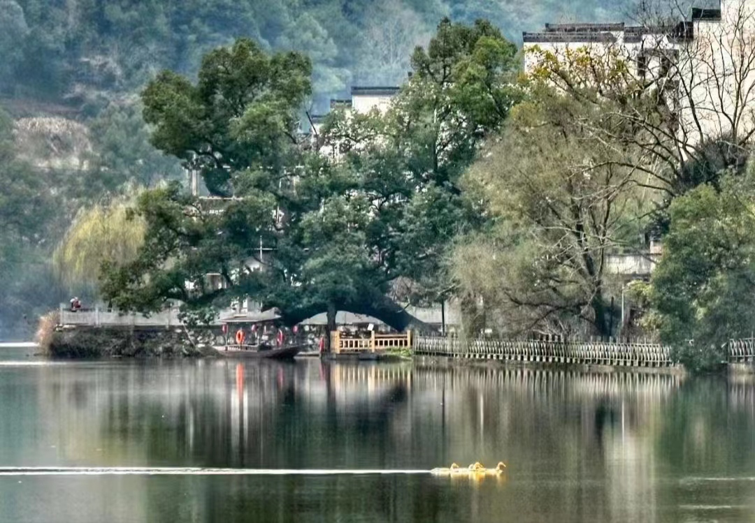 徽城镇春风入南屏水墨起徽韵