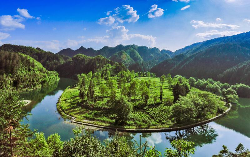 流口镇巧借好山好水好茶打造生态茶旅小镇