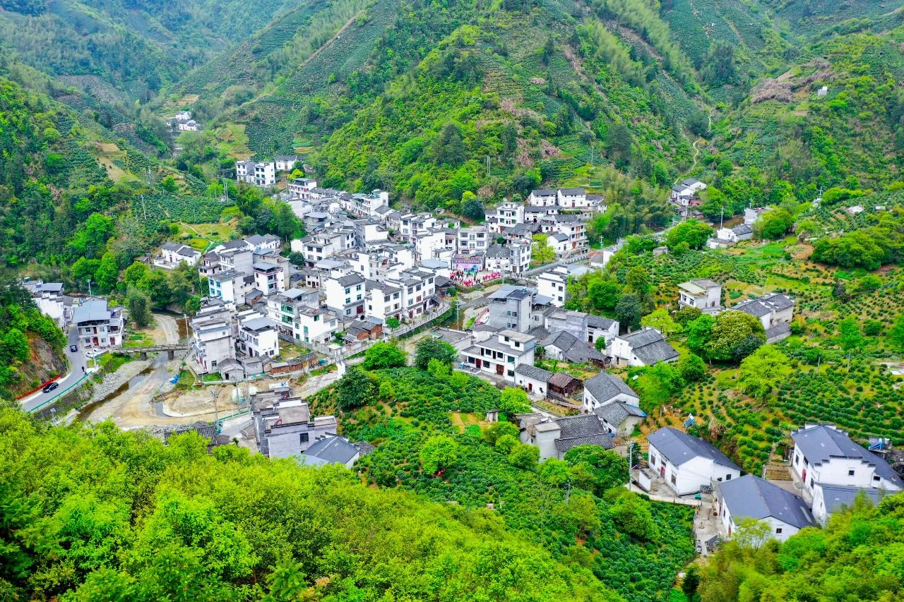 徽州区富溪乡入选2021首届安徽美丽茶镇(乡)_黄山市政务公开