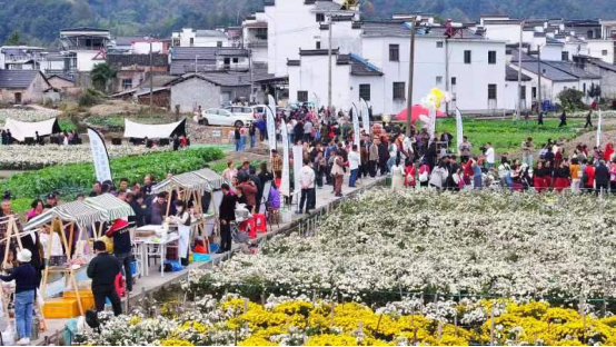 蓝田镇：秋季 “村晚” 暨第五届菊花季圆满落幕 秋日盛宴精彩纷呈