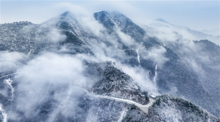 冰羽凝枝缀天路