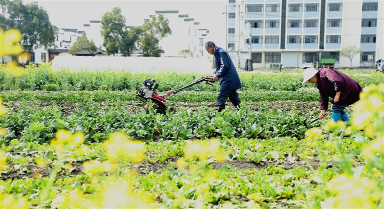 不误农时抓春耕