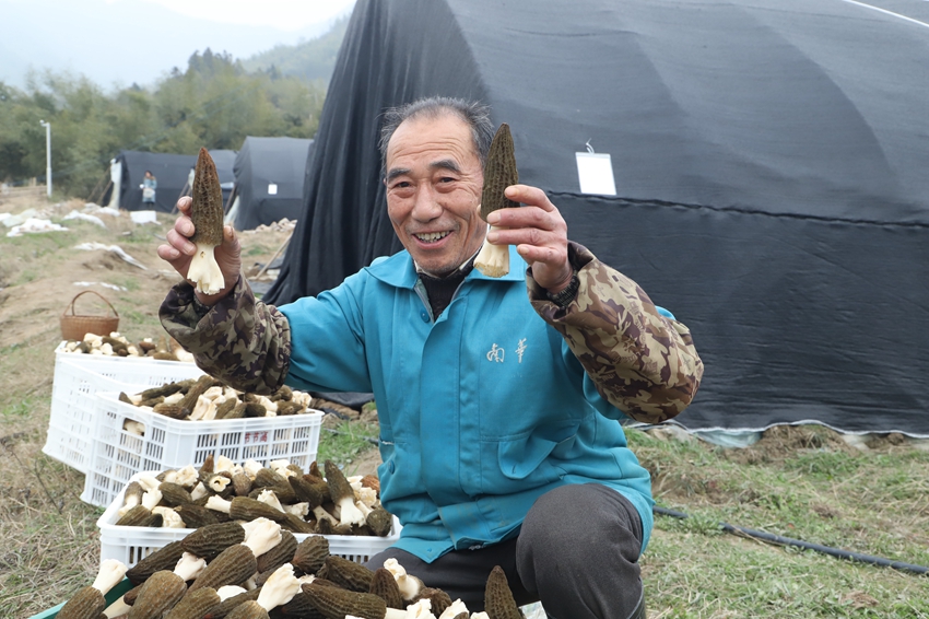 饶河农场有限公司“特色产业”助力乡村全面振兴