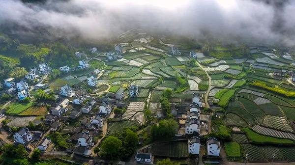 4月24日,雨后放晴,休宁县蓝田镇迪岭村上空出现云海景观,犹如人间仙境