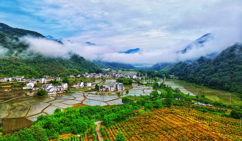 谭家桥镇雨后美景养人眼