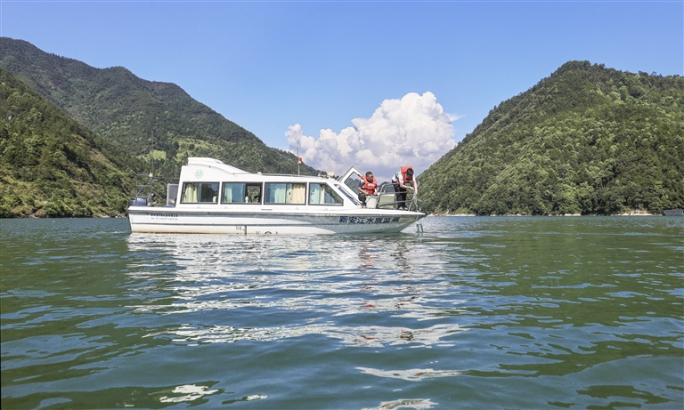 执“绿”为笔书新篇