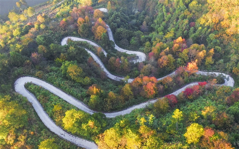 旅游风景道上跑出“加速度”