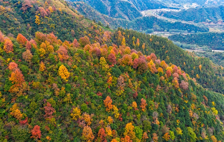 初冬山林美如画