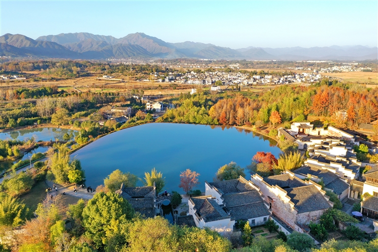 林木斑斕守拙園