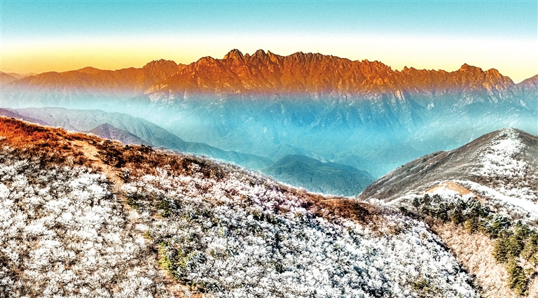 雾凇漫卷 玉树琼枝