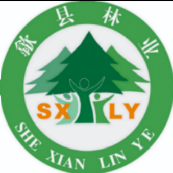 歙县林业局